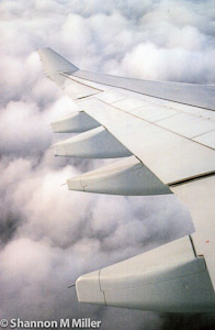 Airplane Wing