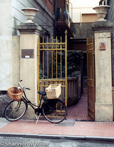 Bicycle with Basket - Monterosso Italy
