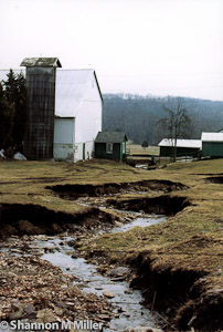 Bucks County Farm