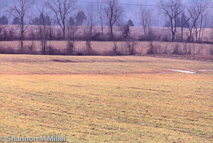 Bucks County March 2003