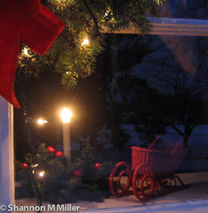 Christmas Window