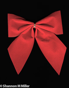 Red Bow_
