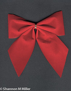 Red Bow on Gray Bkgd