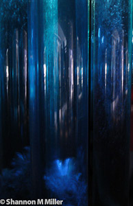 Water Cylinders 2 - National Aquarium