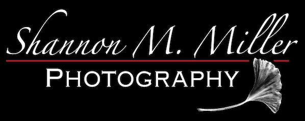 Shannon Miller Photography